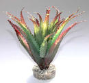 Augalas plastikinis Aloes 16cm